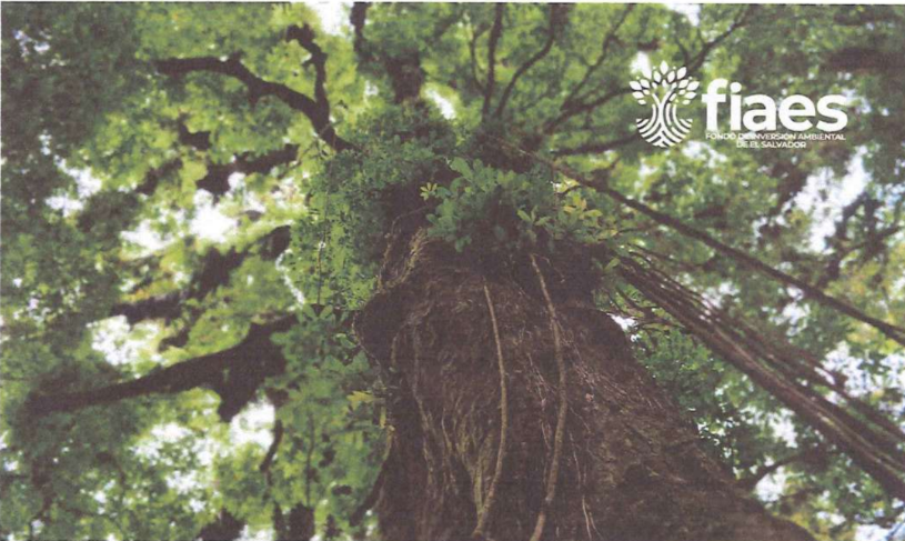 Inversión en elementos claves u objetos de conservación del área de conservación Imposible-Barra de Santiago, El Salvador.