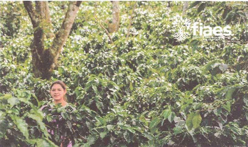 Inversión en los objetos de conservación de la reserva de biosfera Apaneca-Ilamatepec, El Salvador.