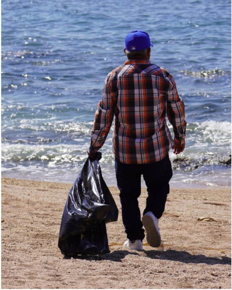 cetaceos 2 copia 2-50