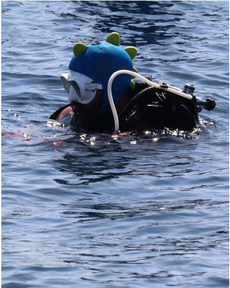 cetaceos 3 copia 2-50