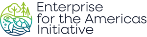 AID