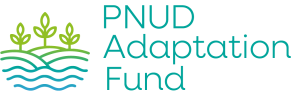 PNUD