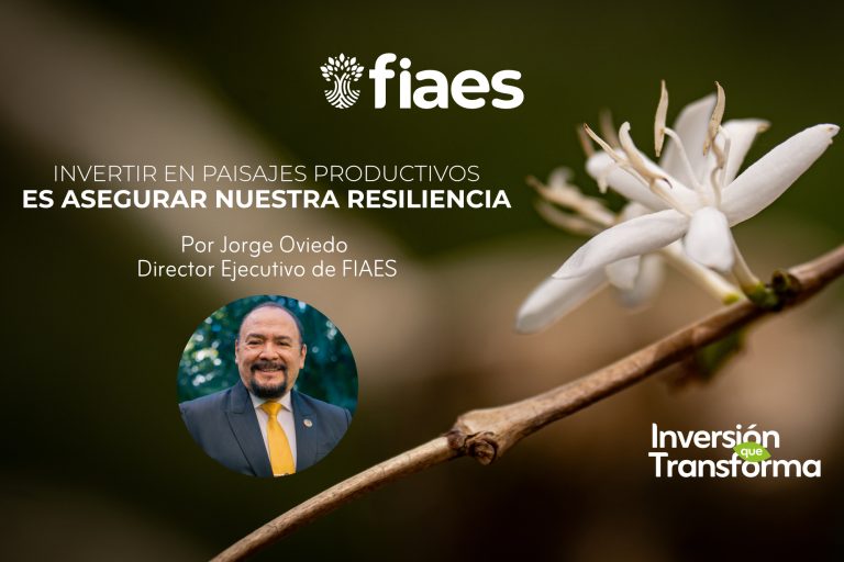 Artículo Paisajes Productivos