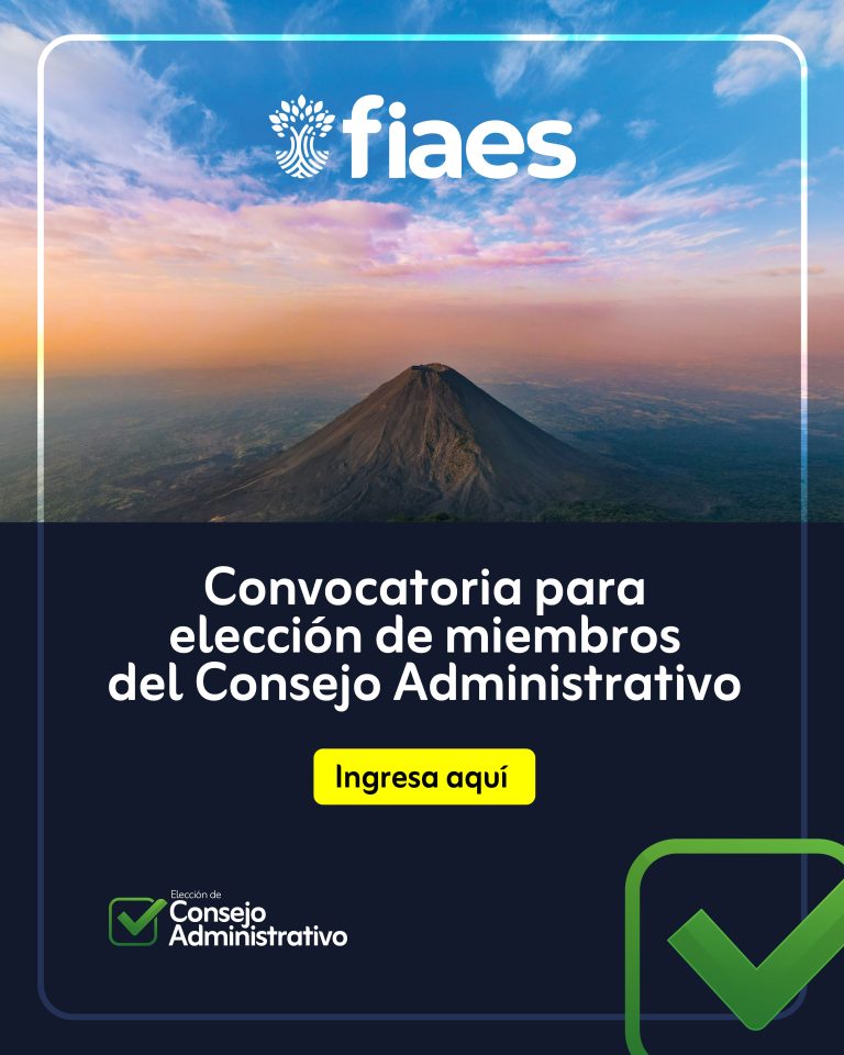eleccion-de-consejo